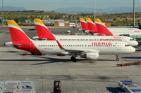 Miguel A. gueda Rguez.  (CANARY ISLANDS SPOTTING). Haz click para ampliar