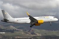 ©Alfonso Solís - Asociación Canary Islands Spotting. Click to see full size photo ©Alfonso Solís - Asociación Canary Islands Spotting. Click to see full size photo