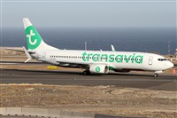 Alfonso Sols - Asociacin Canary Islands Spotting. Haz click para ampliar