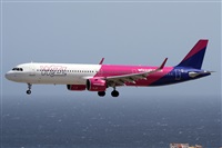 ©Alfonso Solís - Asociación Canary Islands Spotting. Click to see full size photo ©Alfonso Solís - Asociación Canary Islands Spotting. Click to see full size photo