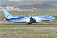 Miguel A. gueda Rguez.  (CANARY ISLANDS SPOTTING). Click to see full size photo