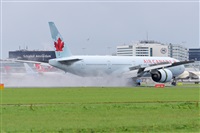 Miguel A. gueda Rguez.  (CANARY ISLANDS SPOTTING). Click to see full size photo