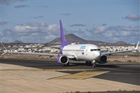 ©Adolfo Bento - Gran Canaria Spotters. Click to see full size photo ©Adolfo Bento - Gran Canaria Spotters. Click to see full size photo