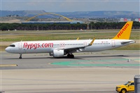 Miguel A. gueda Rguez.  (CANARY ISLANDS SPOTTING). Haz click para ampliar
