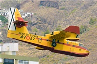 Miguel A. gueda Rguez.  (CANARY ISLANDS SPOTTING). Haz click para ampliar