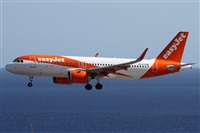Alfonso Sols - Asociacin Canary Islands Spotting. Click to see full size photo