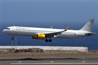 ©Alfonso Solís - Asociación Canary Islands Spotting. Click to see full size photo ©Alfonso Solís - Asociación Canary Islands Spotting. Click to see full size photo