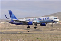 Miguel A. gueda Rguez.  (CANARY ISLANDS SPOTTING). Haz click para ampliar