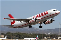 Alfonso Sols - Asociacin Canary Islands Spotting. Click to see full size photo
