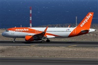 Alfonso Sols - Asociacin Canary Islands Spotting. Click to see full size photo