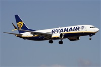 Alfonso Sols - Asociacin Canary Islands Spotting. Click to see full size photo