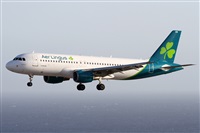 Alfonso Sols - Asociacin Canary Islands Spotting. Haz click para ampliar