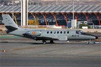 ©Guillermo García del Alamo. Click to see full size photo ©Guillermo García del Alamo. Click to see full size photo