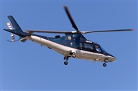 �Tobias Sanchez. Click to see full-size photo