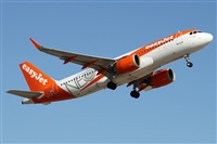 �Alfonso Sol�s - Asociaci�n Canary Islands Spotting. Click to see full size photo