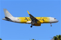 �Miguel A. �gueda Rguez.  (CANARY ISLANDS SPOTTING). Click to see full size photo