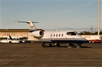 Javier de la Cruz - CANARY ISLANDS SPOTTING. Haz click para ampliar