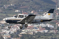 ALAMO AIRLINES.CANARY ISLANDS SPOTTING. Click to see full size photo