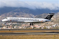 Javier de la Cruz - CANARY ISLANDS SPOTTING. Click to see full size photo