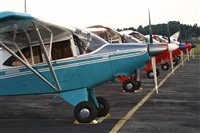 A. Raff-Lehner. Click to see full size photo