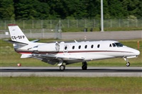 Rodrigo Carvalho - Noisy Spotters. Click to see full size photo