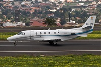 ©J M Sabina-Asociación Canary Islands Spotting. Click to see full size photo ©J M Sabina-Asociación Canary Islands Spotting. Click to see full size photo