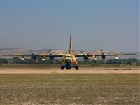 ©Adrian U. Monterde - Spotters Maños. Click to see full size photo ©Adrian U. Monterde - Spotters Maños. Click to see full size photo