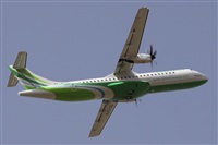 ©Alfonso Solís - Asociación Canary Islands Spotting. Click to see full size photo ©Alfonso Solís - Asociación Canary Islands Spotting. Click to see full size photo