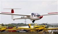 Josep Oll. Click to see full size photo