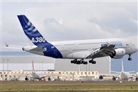 Rubn Gil - Noisy Spotters. Click to see full size photo