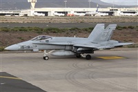 ©Alfonso Solís - Asociación Canary Islands Spotting. Click to see full size photo ©Alfonso Solís - Asociación Canary Islands Spotting. Click to see full size photo