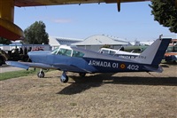 ©Alfonso Solís - Asociación Canary Islands Spotting. Click to see full size photo ©Alfonso Solís - Asociación Canary Islands Spotting. Click to see full size photo