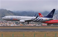 Alejandro Bethencourt (Canary Islands Spotting). Click to see full size photo