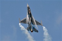 Tams. Click to see full size photo