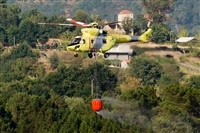 Esteban Lamas. Click to see full size photo