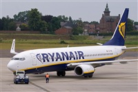 Javier de la Cruz - CANARY ISLANDS SPOTTING. Click to see full size photo