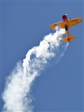 Daniel Guerra. Click to see full size photo