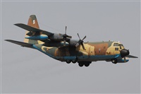 Toms Asensio - GranCanariaSpotters. Click to see full size photo