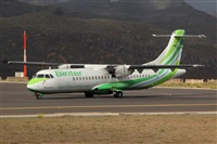 Javier de la Cruz - CANARY ISLANDS SPOTTING. Click to see full size photo