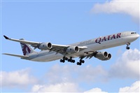 Rubn Gil - Noisy Spotters. Click to see full size photo