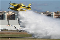 Csar Prieto. Click to see full size photo