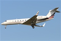 Rubn Gil - Noisy Spotters. Click to see full size photo