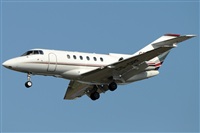 Rubn Gil - Noisy Spotters. Click to see full size photo