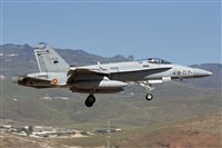 Carlos Zamora - La Mancha Spotters. Haz click para ampliar