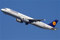 Miguel Alia - Noisy Spotters. Click to see full size photo