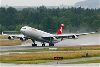 Rodrigo Carvalho - Noisy Spotters. Click to see full size photo