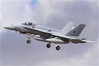 David Manuel Tobarra Ruiz - Spotters Murcia. Click to see full size photo