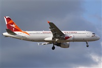 Saimon J Rodriguez   -   Canary Islands Spotting. Click to see full size photo