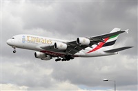 Miguel A. gueda Rguez.  (CANARY ISLANDS SPOTTING). Click to see full size photo