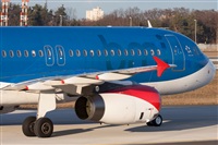 Miguel Alia - Noisy Spotters. Click to see full size photo